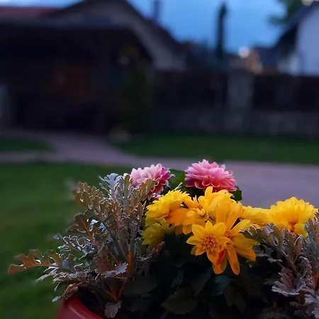 Penzion Bado Stará Lesná
