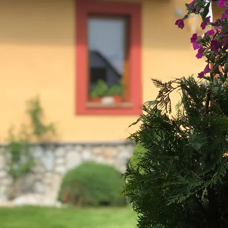 Bado Gasthuis Stará Lesná