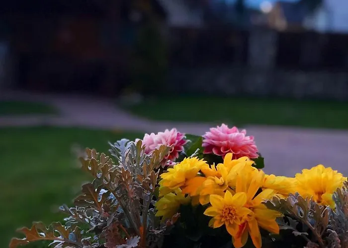 Guest house Bado Stara Lesna