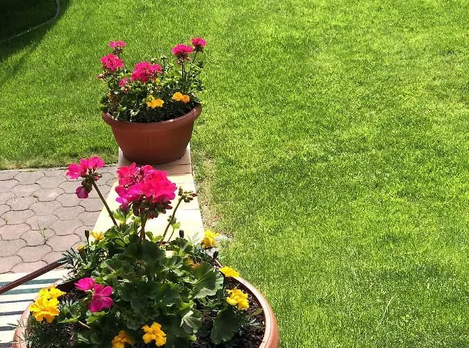 Bado Pensjonat Stará Lesná