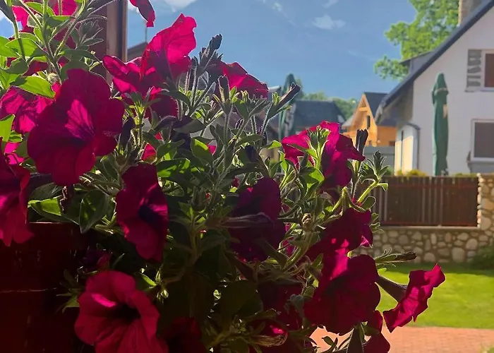 Bado Pensjonat Stará Lesná